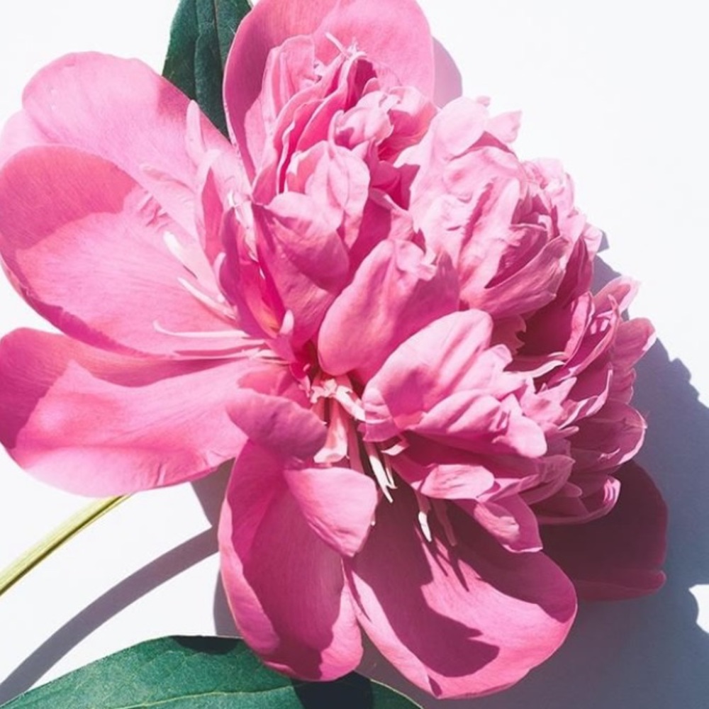 Meet your Posher, Kaitlyn